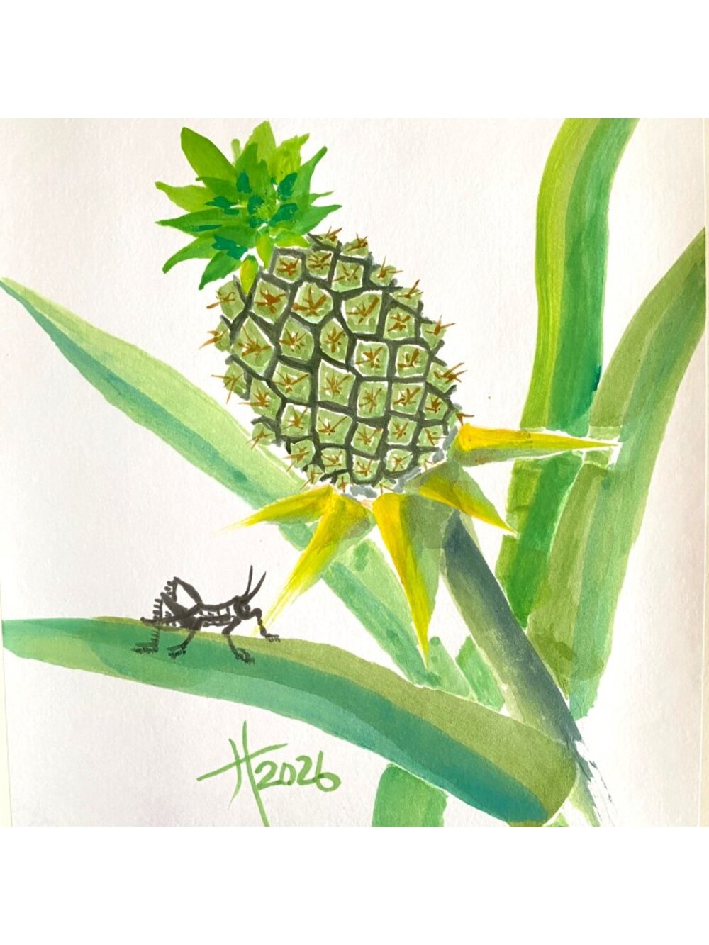 Grasshopper on My Pineapple Original Art Chinese Watercolor Painting 11x14in Mat